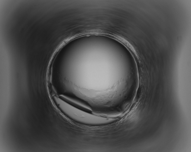 X0000097951381200803241145