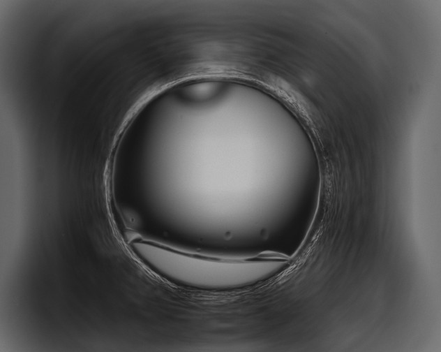 X0000097951382200803241145