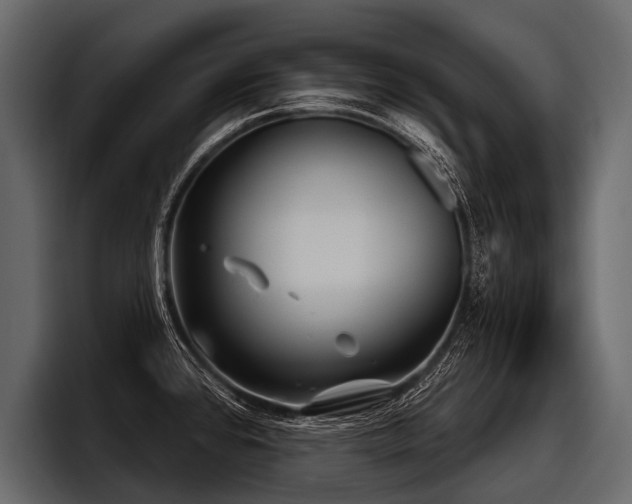 X0000097951384200803241145