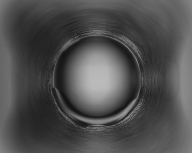 X0000097951385200803241145