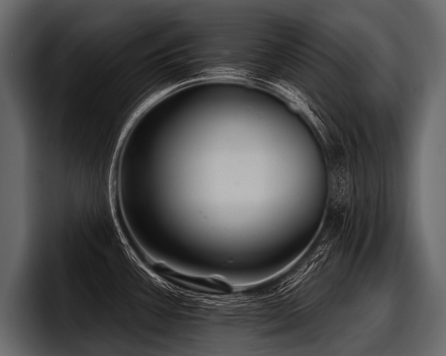X0000097951387200803241145