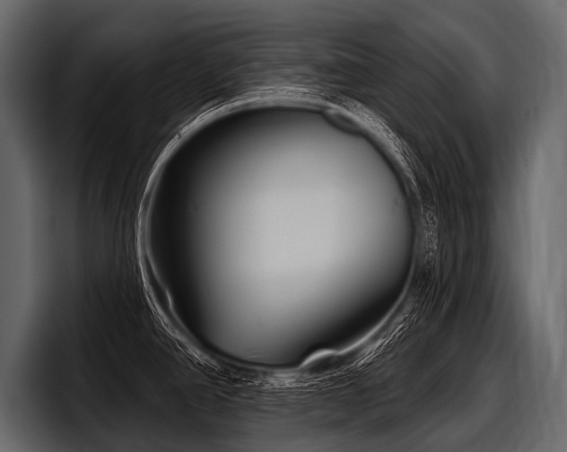 X0000097951390200803241145