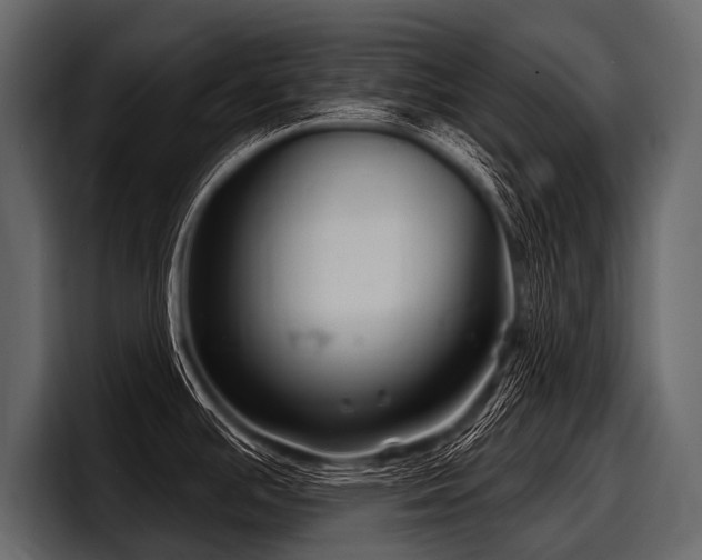 X0000097951391200803241145