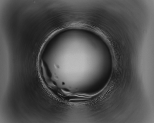 X0000097951392200803241145