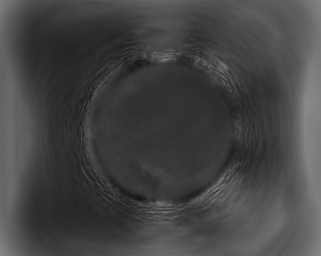 X0000097951393200803241144