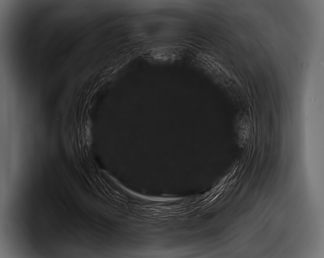 X0000097951394200803241144