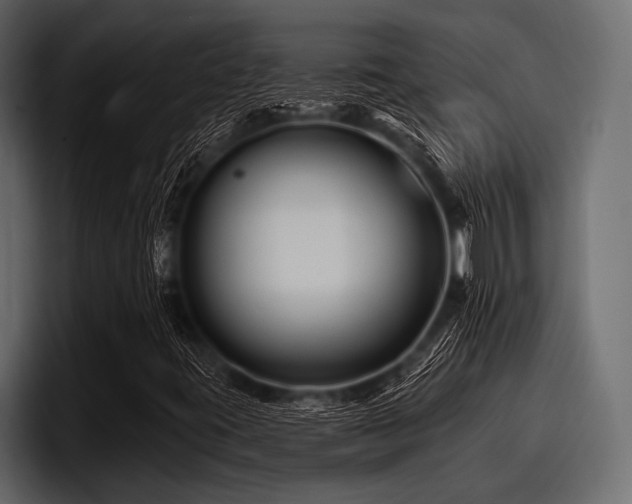 X0000097951395200803241144