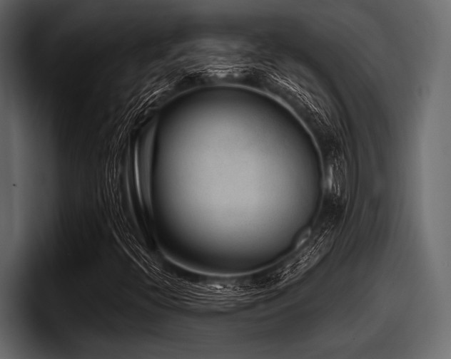 X0000097951396200803241144