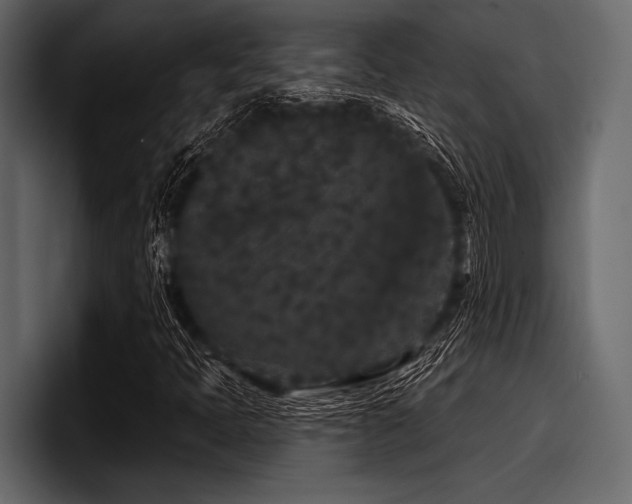 X0000097951397200803241144