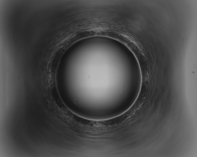X0000097951398200803241144