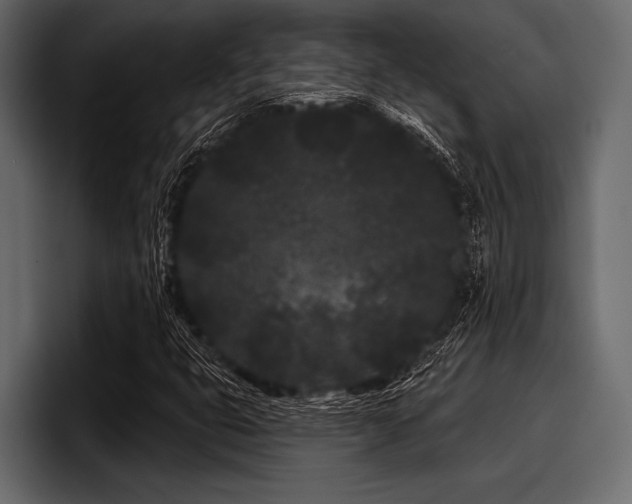 X0000097951399200803241144
