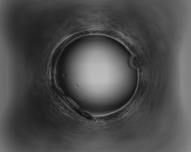 X0000097951400200803241144