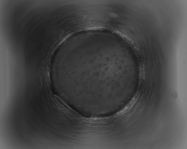X0000097951401200803241144