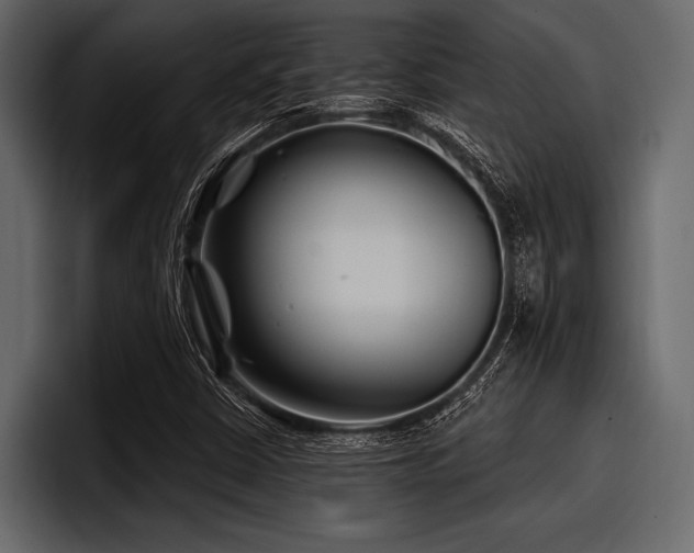 X0000097951402200803241144