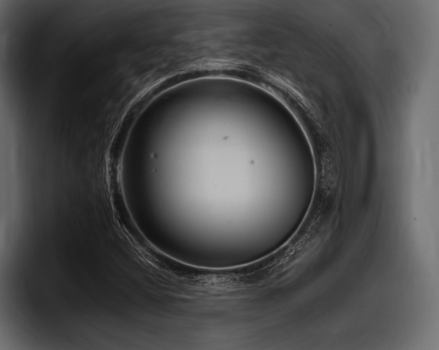 X0000097951404200803241144