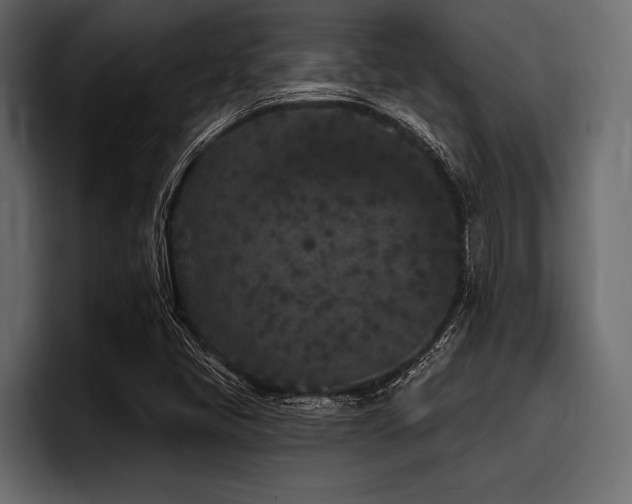 X0000097951405200803241144