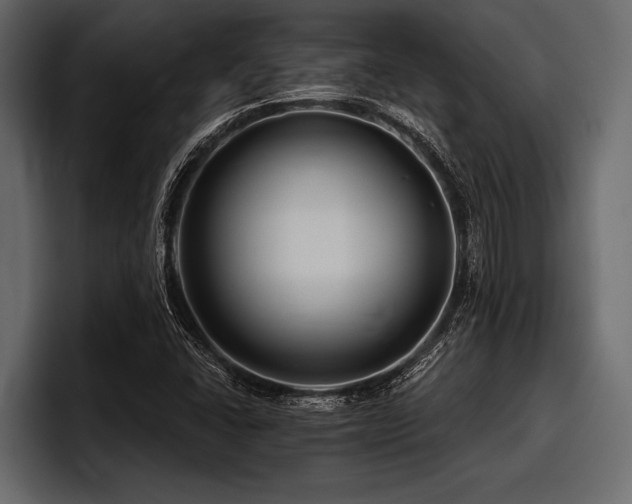 X0000097951406200803241144
