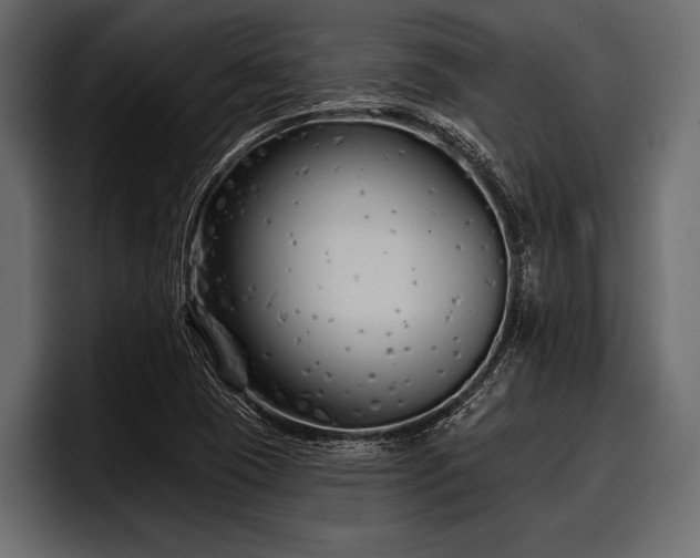 X0000097951409200803241144