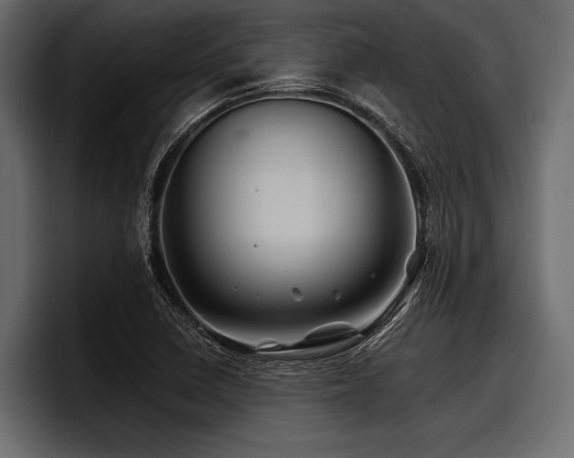 X0000097951410200803241144
