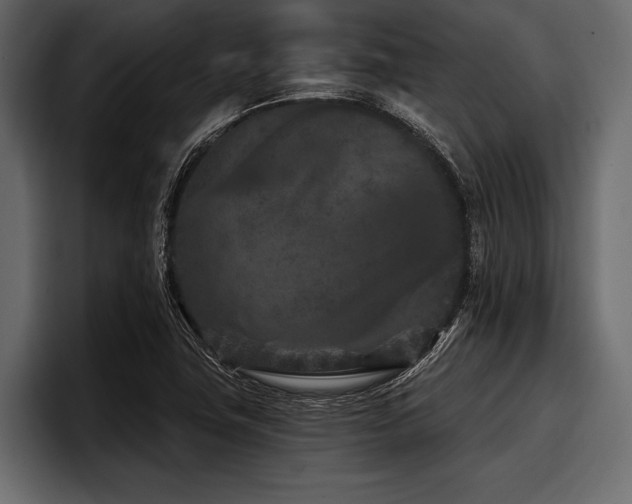 X0000097951411200803241144