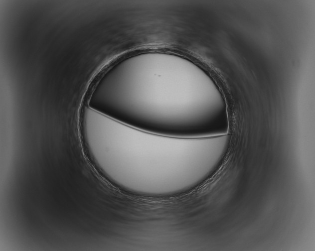 X0000097951412200803241144