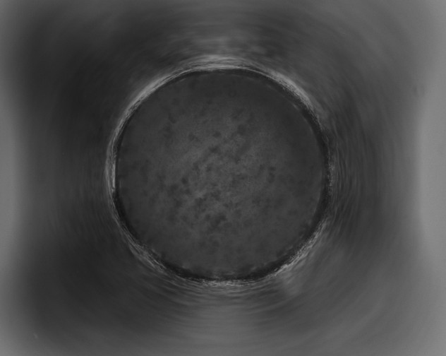 X0000097951413200803241144