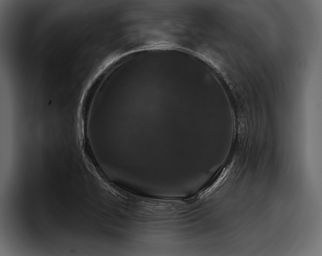 X0000097951414200803241144