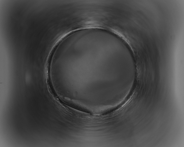 X0000097951415200803241144