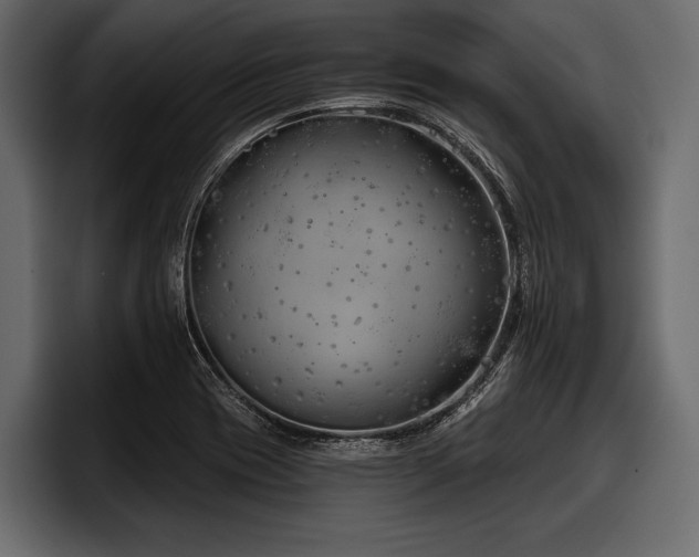 X0000097951417200803241144