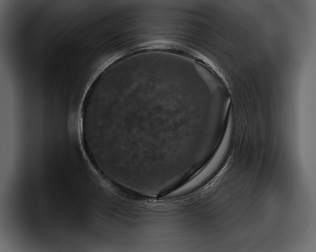 X0000097951418200803241144
