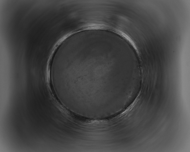 X0000097951419200803241144