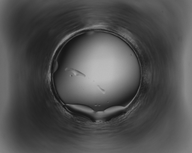 X0000097951420200803241144