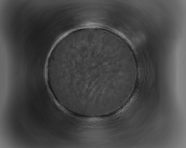X0000097951421200803241144