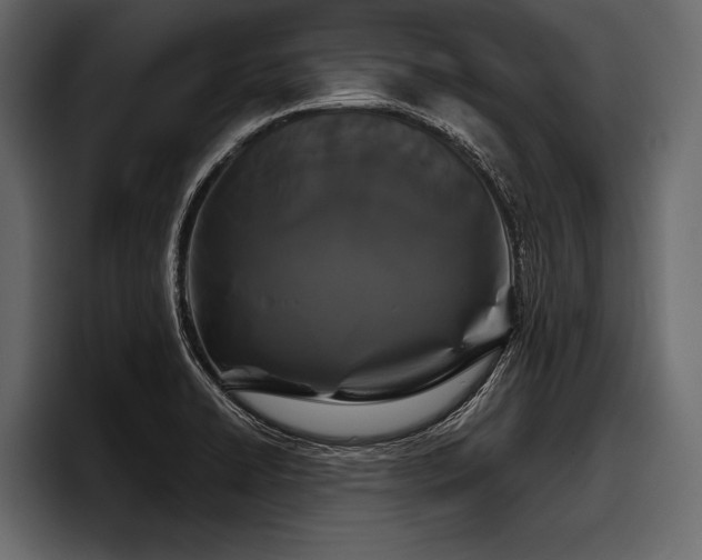 X0000097951422200803241144