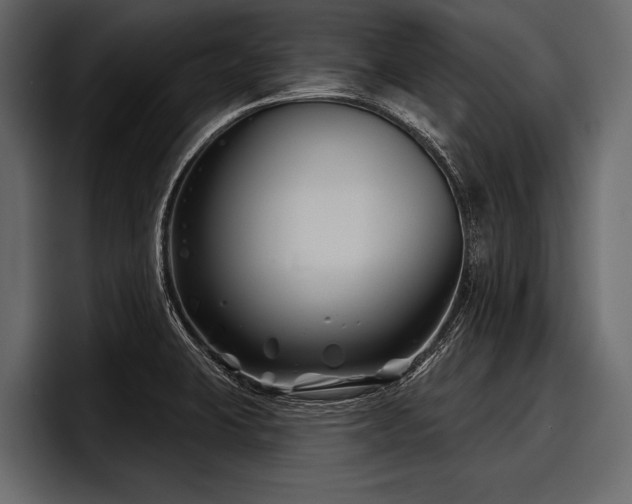 X0000097951423200803241144