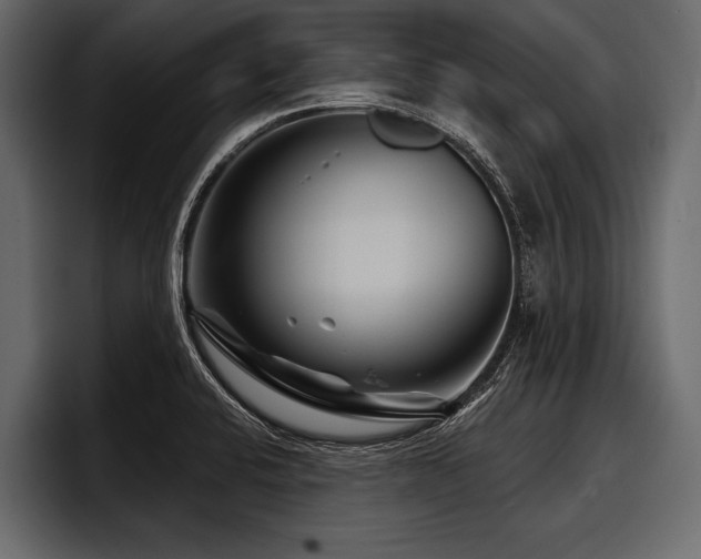X0000097951424200803241144