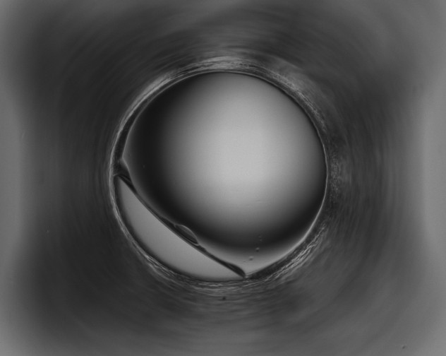 X0000097951426200803241144