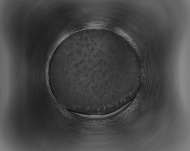 X0000097951427200803241144