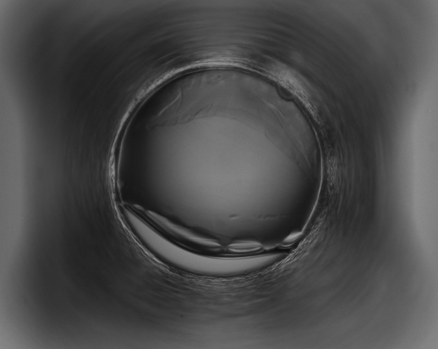 X0000097951428200803241144