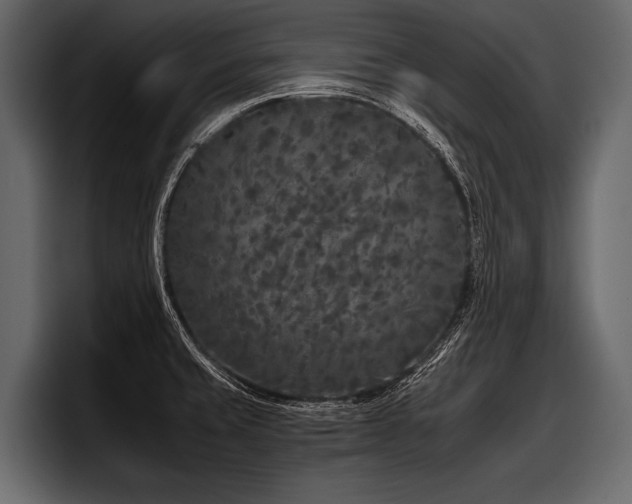 X0000097951429200803241144