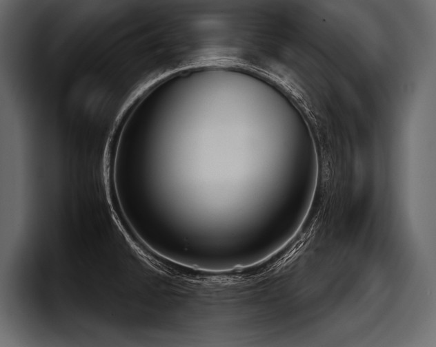 X0000097951430200803241144
