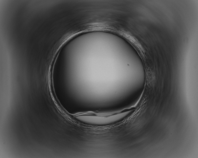 X0000097951431200803241144