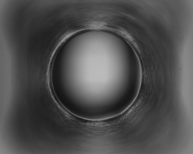 X0000097951432200803241145