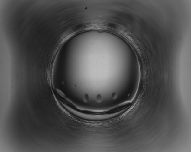 X0000097951433200803241145
