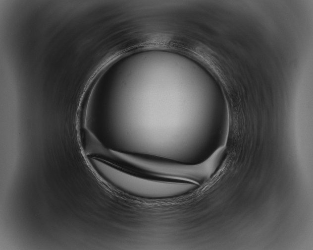 X0000097951434200803241145