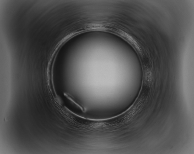 X0000097951435200803241145