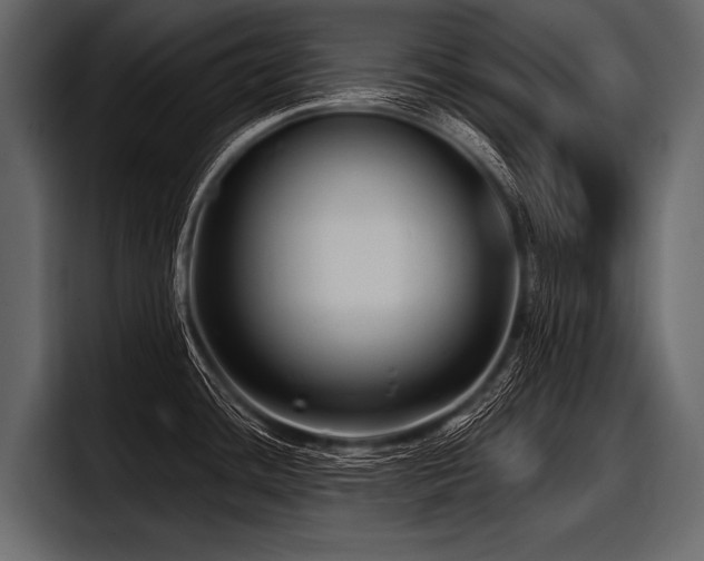 X0000097951436200803241145