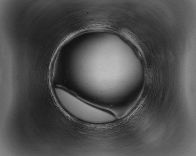 X0000097951437200803241145