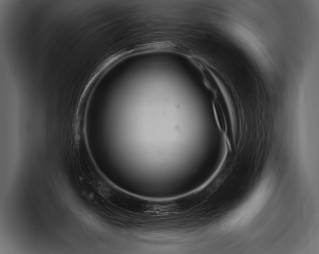 X0000097951438200803241145