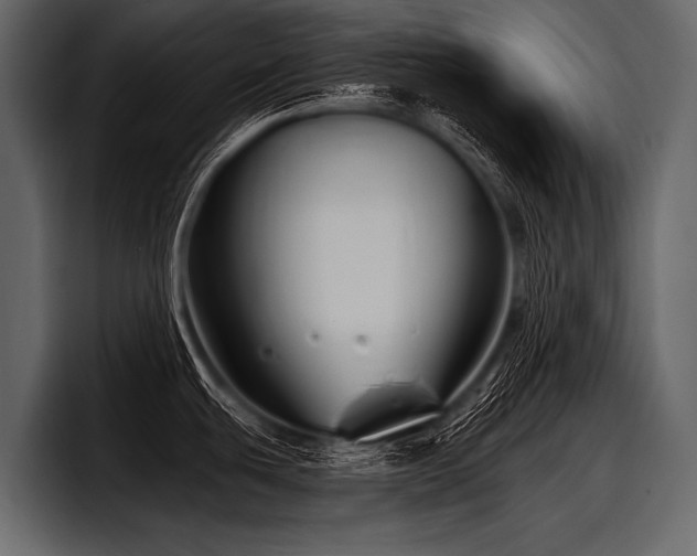X0000097951439200803241145